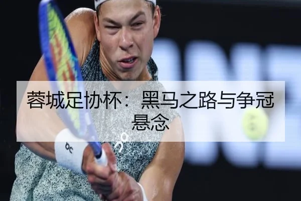 蓉城足协杯：黑马之路与争冠悬念